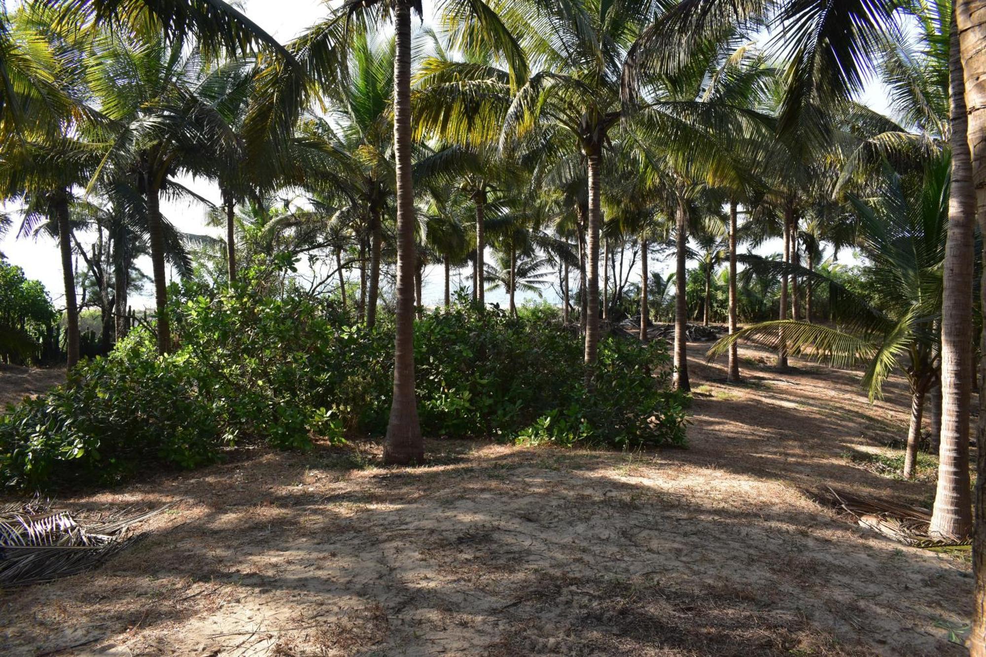 Sneh Beach Homestay - Wayangani Vengurla Exterior foto